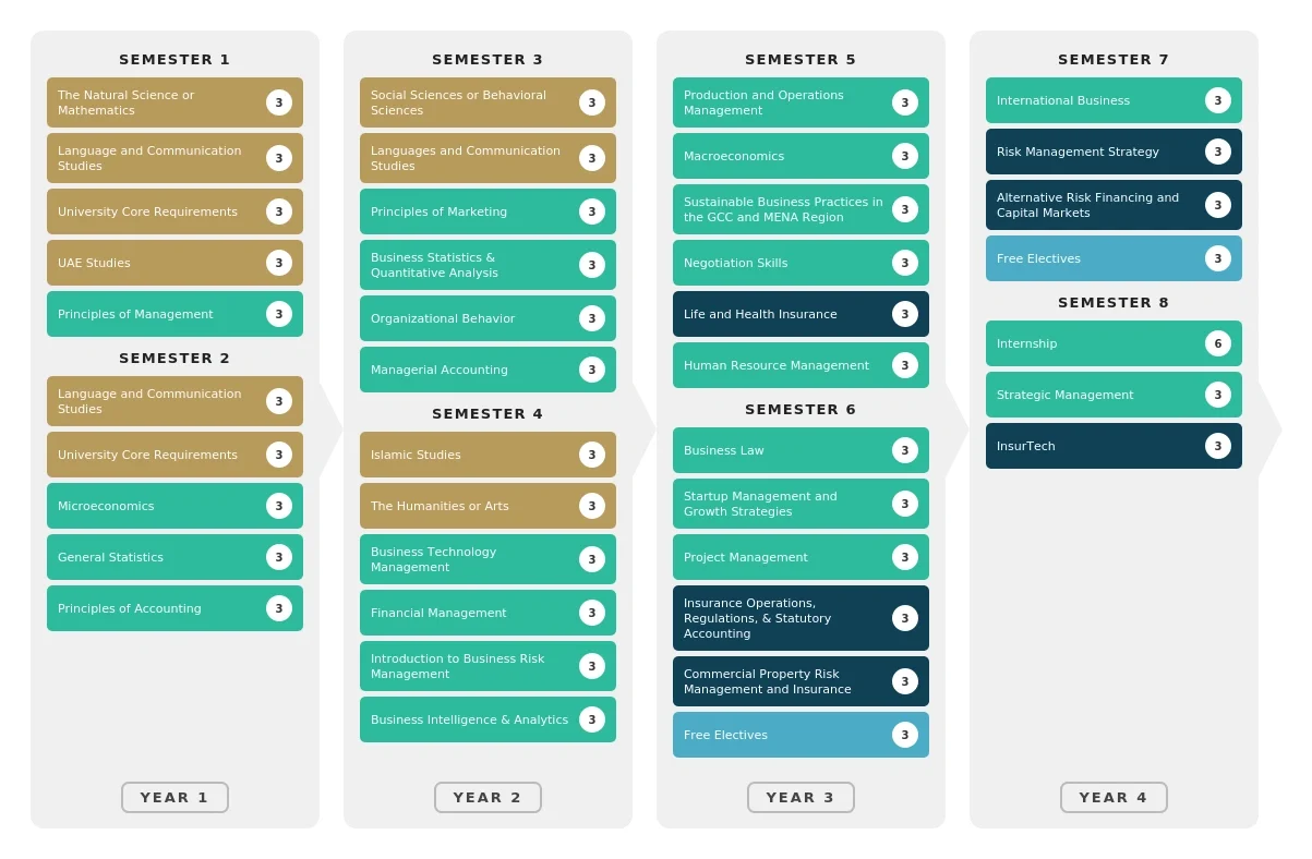 Insurance and Risk Management-BBA-Study-Plan